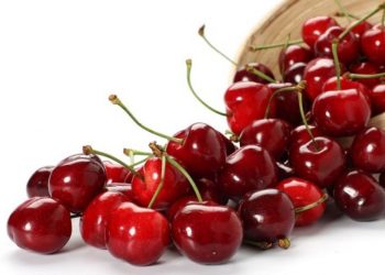 Ja efekti i qershive në trupin e njeriut