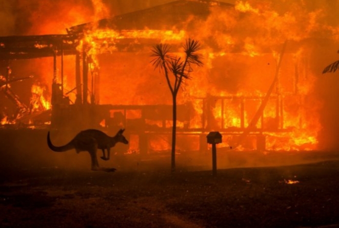 Foto tronditëse dhe pasojat e zjarreve masive në Australi