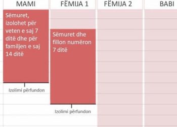 Zbulohet skema, si përhapet COVID-19 brenda një familje