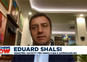 Paketat ndihmëse të qeverisë, Eduard Shalsi: Nuk mund të kënaqim të gjitha kompanitë