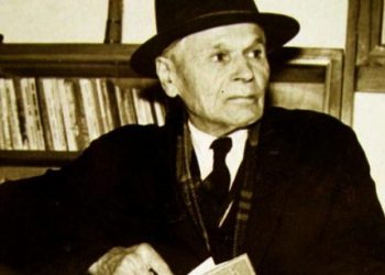 Zemra e shokut