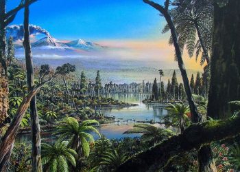 Zbulimi: Antarktida ka qenë një pyll me biodiversitet të pashembullt