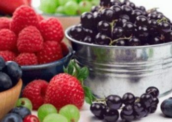 Disa këshilla si të arrini një peshë të shëndetshme, pa patur nevojë për një dietë!