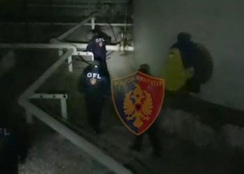 OFL zbarkon në pronat e Lul Berishës, dalin pamjet nga aksioni
