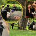 E diela e familjes së kryeministrit, Linda e Zaho dalin në park