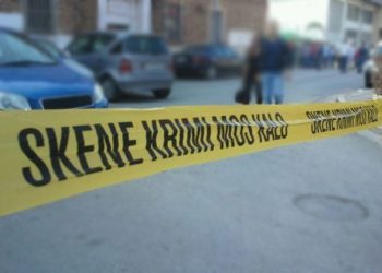 Eksperiencë amerikane për krijimin e programit të masterit mbi Kriminologjinë
