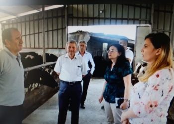 Ura Vajgurore/ Agroturizmi në Poshnjë, bashkia grante për nxitjen e sektorit
