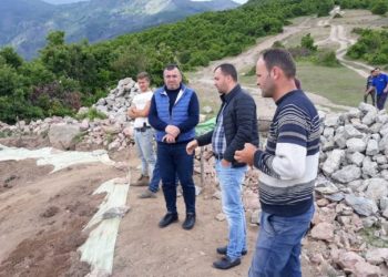 Vëmendje e veçantë ndaj mbrojtjes së sipërfaqeve të gjelbërta; Bashkia Bulqizë ndërhyn në dhjetëra hektarë pyje