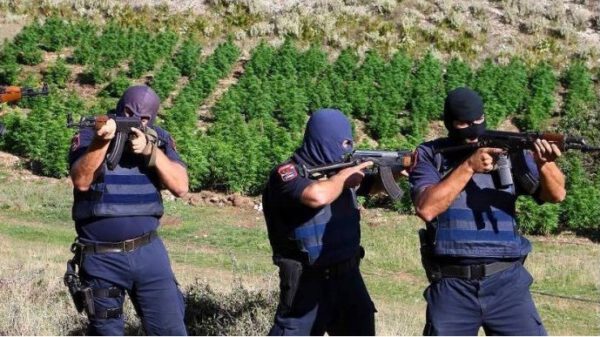 Fier ,mbi 100 efektiva në aksion antidrogë, arrestohet i dyshuari i parë