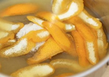 Shurupi i limonit, receta për një imunitet të fortë