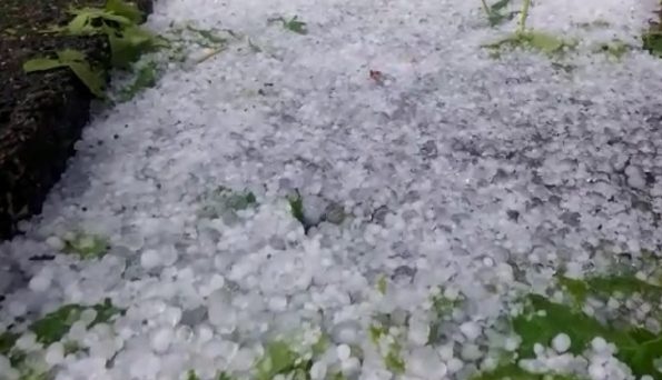 Stuhi breshëri në Gramsh, dëmtohen rëndë të mbjellat në disa fshatra