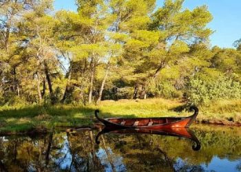 Parku “Divjakë-Karavasta”, me një klik në duart e turistëve