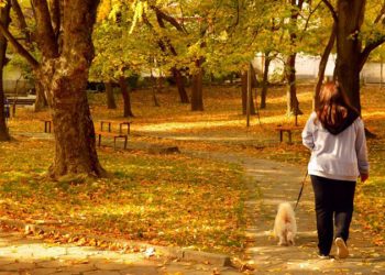 20 minuta ecje në natyrë, kaq të duhen për të zhdukur stresin