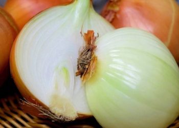Përdorni qepën për shëndetin e trurit dhe sistemin nervor