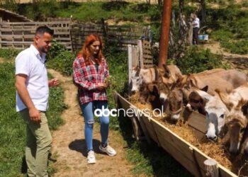 Gazetari që la profesionin për të ngritur një fermë gomaricash: Historia e pazakontë nga Elbasani
