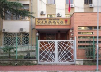 Drejtonte grupin e drogës në Greqi, Gjykata sekuestron 100 mijë euro të nënës së 30-vjeçarit në Fier (EMRI)