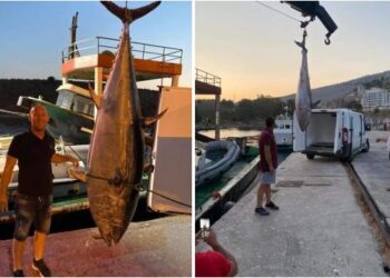 FOTO/ Peshkatarët e Sarandës vendosin rekord, kapin peshkun ton më të madh ndonjëherë, nuk do ta besoni peshën e tij