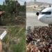 Në pritje të afganëve, komandoja shqiptar: Shumë shpresa dhe shumë ëndrra u thyen…