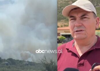 Zjarret në Vlorë, Haki Çako: Kemi kërkuar ndihmë nga BE, po dërgojmë trupa me helikopter në Karaburun