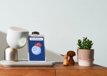 Nju Jorku do të dhurojë robotë për të moshuarit “për t’ju bërë atyre shoqëri”
