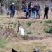 “Nuk pendohem, unë e vrava!” Hygerta Meta kthehet në vendin e krimit me policinë