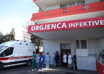 58 të infektuar me ethet e Nilit, ISHP kërkon që të bëhet dezinfektimi kundër mushkonjave